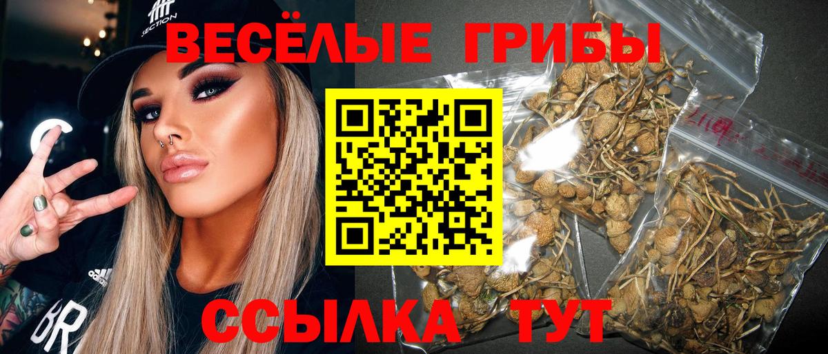 Псилоцибиновые грибы прущие грибы Октябрьский